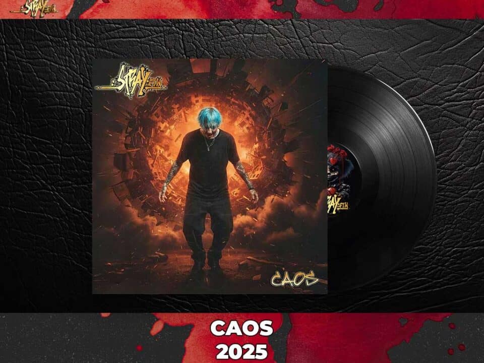 CAOS StrayFtW 2025