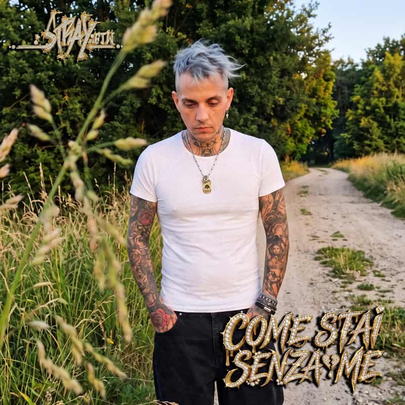 StrayFtW - Come stai senza me - 2026 - Tra due mondi